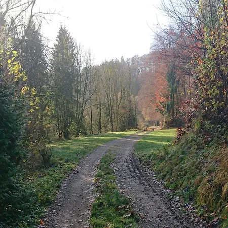 Haus Schoeneck Lejlighed